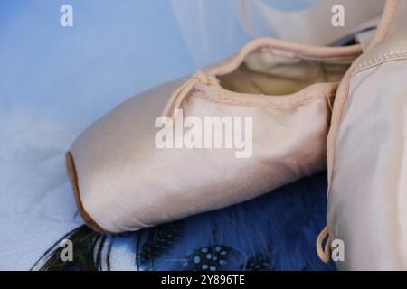 Scarpe da balletto, scarpe pointe su piume di pavone, STILL Life, scarpe da ballo rivestite con raso di colore rosa chiaro, suola in pelle, studio, Germania, Europa Foto Stock