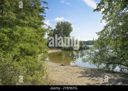 Spiaggia balneare sul lago dell'aeroporto, Tegel, Reinickendorf, Berlino, Germania, Europa Foto Stock