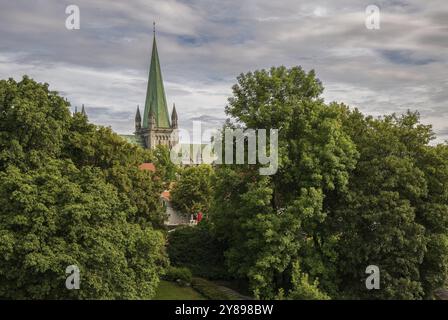 Vista della cattedrale di Nidaros a Trondheim, Norvegia, Europa Foto Stock