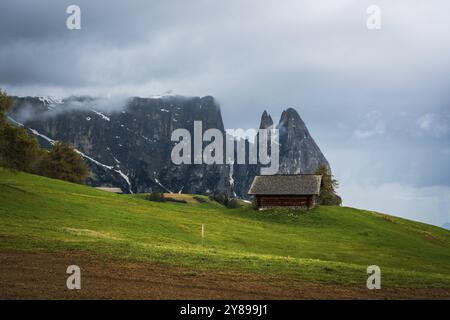 Vista panoramica del Monte Sciliar dall'Alpe di Siusi nelle Dolomiti in alto Adige, Italia, Europa Foto Stock