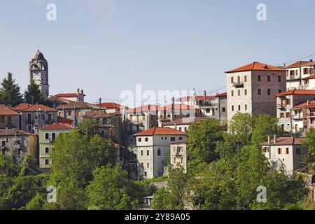 Dimitsana è un villaggio di montagna in Arcadia, Peloponneso, Grecia, Europa Foto Stock