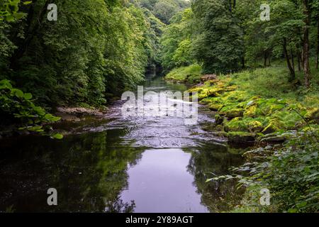 Passeggiate lungo il fiume Wharfe in estate nello Yorkshire, Inghilterra Foto Stock