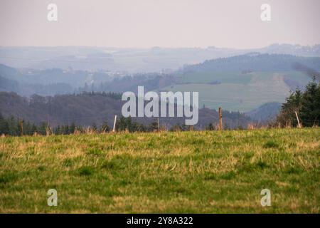 Torre dell'acqua di Hosingen, punto di riferimento storico nel Parc Hosingen, Lussemburgo Foto Stock