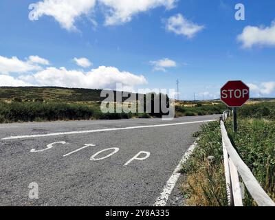 Questa foto mette in evidenza un'audace cartello di "STOP" su una tranquilla strada di campagna a Madeira, in Portogallo Foto Stock