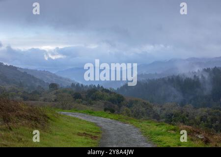 Vista invernale delle montagne di Santa Cruz attraverso la riserva naturale Monte bello a Santa Clara e nelle contee di San Mateo, California. Foto Stock