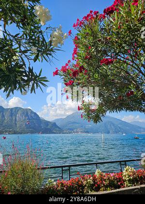 Splendida vista sul Lago di Como con fiori vivaci a Bellagio, Italia Foto Stock