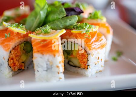 Primo piano di un colorato sushi roll sul piatto verticale Foto Stock