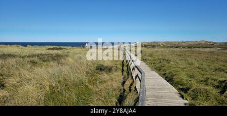 das Rote Kliff in Kampen auf Sylt bei Traumwetter 03.10.24: DAS Rote Kliff gehört zu den imposantesten Wahrzeichen der Insel Sylt und Norddeutschland. Blick vom Roten Kliff zum Strand und zur Nordsee. Bohlenwege. Strandkörbe. Meer und Sandstrand Kampen / Sylt Rotes Kliff Schleswig Holstein Deutschland *** la scogliera rossa a Kampen su Sylt con un clima fantastico 03 10 24 la scogliera rossa è uno dei punti di riferimento più impressionanti dell'isola di Sylt e della Germania settentrionale Vista dalla scogliera rossa alla spiaggia e alle passeggiate sul Mare del Nord sedie a sdraio Mare e spiaggia sabbiosa Kampen Sylt Red Cliff Schleswig Hol Foto Stock