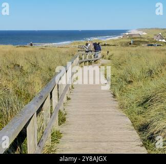 das Rote Kliff in Kampen auf Sylt bei Traumwetter 03.10.24: DAS Rote Kliff gehört zu den imposantesten Wahrzeichen der Insel Sylt und Norddeutschland. Blick vom Roten Kliff zum Strand und zur Nordsee. Bohlenwege. Strandkörbe. Meer und Sandstrand Kampen / Sylt Rotes Kliff Schleswig Holstein Deutschland *** la scogliera rossa a Kampen su Sylt con un clima fantastico 03 10 24 la scogliera rossa è uno dei punti di riferimento più impressionanti dell'isola di Sylt e della Germania settentrionale Vista dalla scogliera rossa alla spiaggia e alle passeggiate sul Mare del Nord sedie a sdraio Mare e spiaggia sabbiosa Kampen Sylt Red Cliff Schleswig Hol Foto Stock