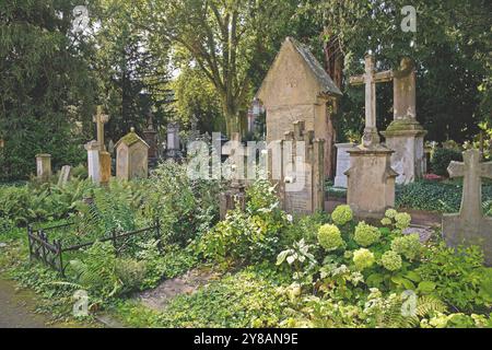 Cimitero di Bonn, tombe, Germania, Renania settentrionale-Vestfalia, Bonn Foto Stock