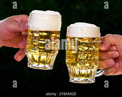 due uomini si brindano a vicenda con birra Foto Stock