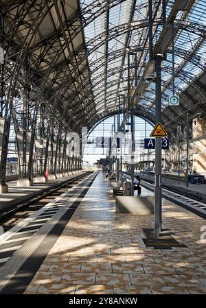 Stazione centrale di Francoforte, piattaforma, Germania, Assia, Francoforte sul meno Foto Stock