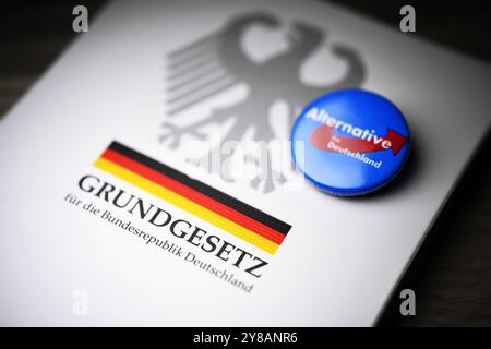 Badge del partito AFD sulla legge base tedesca, foto simbolica per il dibattito AfD Ban, Parteianstecker der AfD auf dem deutschen Grundgesetz, Symbolfoto für Foto Stock