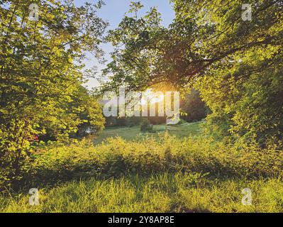 Tramonto suggestivo nella nostra valle, Germania, Renania-Palatinato, Naturpark Suedeifel, Gmuend an der Our Foto Stock