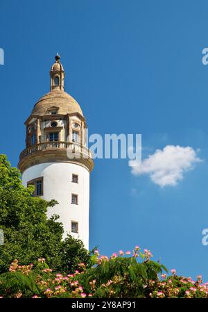 torre del Castello di Hoechst (Vecchio Castello di Hoechst) a Francoforte-Hoechst, Germania, Assia, Francoforte sul meno Foto Stock