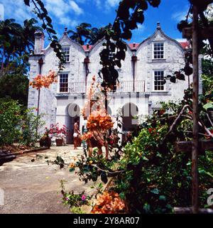 Im Hof vom St Nicholas Abbey Herrenhaus in Saint Peter auf Barbados, um 1985. 90010000717 Foto Stock