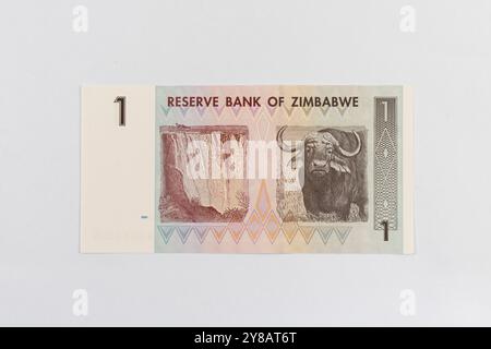 Zimbabwe One Dollar Bill che mette in evidenza le Cascate Vittoria (Mosi-oa-Tunya) e il Bufalo d'acqua Foto Stock