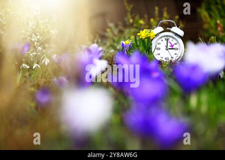 MONTAGGIO FOTOGRAFICO, sveglia bianca con freccia in mezzo ai fiori primaverili, foto simbolica dell'ora legale e del cambio di orario, FOTOMONTAGE, Weißer Wecker Foto Stock