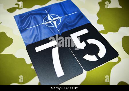 FOTO MONTAGGIO, bandiera NATO con il numero 75, foto simbolica della fondazione della NATO 75 anni fa, FOTOMONTAGE, NATO-Fahne mit der Zahl 75, Symbolfoto Foto Stock