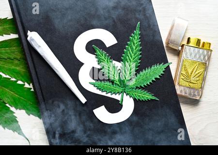 FOTO MONTAGGIO, foglia di cannabis e giunto su un libro di legge, legalizzazione della cannabis, FOTOMONTAGE, Cannabis-Blatt und Joint auf einem Gesetzbuch, Cannabis-Lega Foto Stock