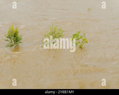 Ampia visuale dall'alto verso il basso per un rapido movimento, slancinante e fangoso flusso d'acqua di fiume marrone argilla che rotola con tappi bianchi. Tre cime di alberi verdi Foto Stock