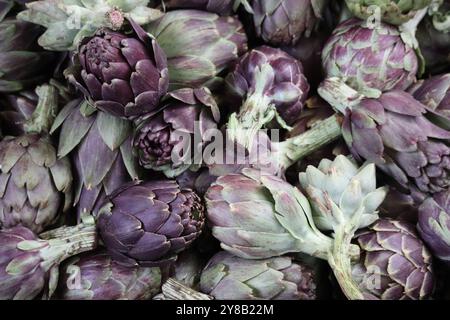 Primo piano di carciofi in vendita nel mercato agricolo, nel supermercato o nel negozio di alimentari. Cynara cardunculus var. scolymus. Foto Stock