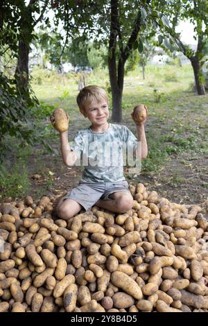 il ragazzo di circa 7 anni è seduto su un mucchio di patate appena scavate e tiene in mano due grandi patate. Buon raccolto, piccolo aiuto Foto Stock