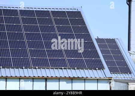 Pannelli solari sui tetti delle serre ad Amburgo, Germania, Solaranlagen auf den Dächern von Treibhäusern ad Amburgo, Germania Foto Stock