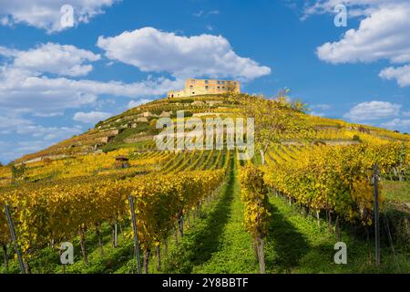 Splendido paesaggio delle rovine del castello di Staufen im Breisgau con i vigneti in splendidi colori autunnali in primo piano Foto Stock