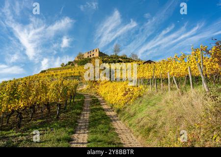 Splendido paesaggio delle rovine del castello di Staufen im Breisgau con i vigneti in splendidi colori autunnali in primo piano Foto Stock