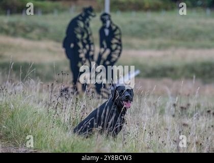 Boom Beach, Loch Ewe, Mellon Charles, Wester Ross, Scozia Foto Stock