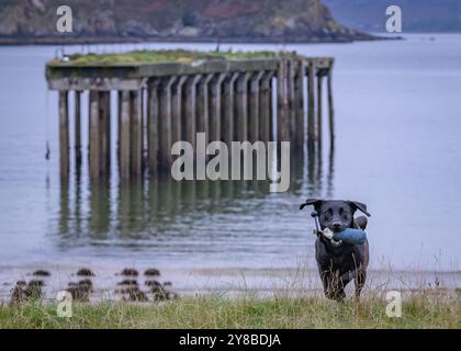 Boom Beach, Loch Ewe, Mellon Charles, Wester Ross, Scozia Foto Stock