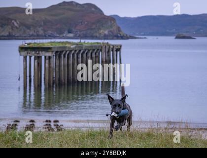 Boom Beach, Loch Ewe, Mellon Charles, Wester Ross, Scozia Foto Stock