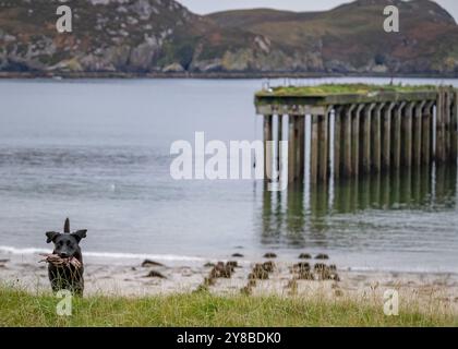 Boom Beach, Loch Ewe, Mellon Charles, Wester Ross, Scozia Foto Stock