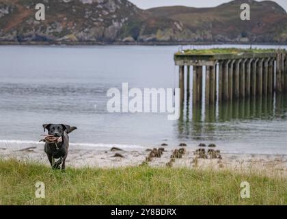 Boom Beach, Loch Ewe, Mellon Charles, Wester Ross, Scozia Foto Stock