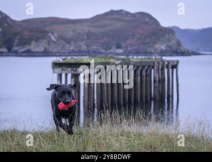 Boom Beach, Loch Ewe, Mellon Charles, Wester Ross, Scozia Foto Stock