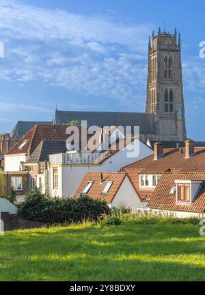 La chiesa di San Martino di Zaltbommel è uno degli esempi meglio conservati di stile architettonico tardo gotico renano inferiore. Foto Stock