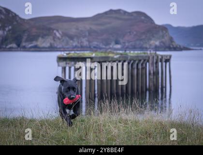 Boom Beach, Loch Ewe, Mellon Charles, Wester Ross, Scozia Foto Stock