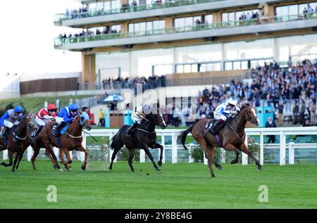 Mercian Warrior guidato da Jack Nicholls (a destra) sulla strada per vincere il Molton Brown Amateur Jockeys' handicap durante il BetMGM Autumn Racing Weekend all'Ascot Racecourse, Berkshire. Data foto: Venerdì 4 ottobre 2024. Foto Stock