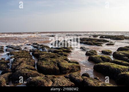 Rocce sulla spiaggia in autunno a Exmouth, Devon. Foto Stock