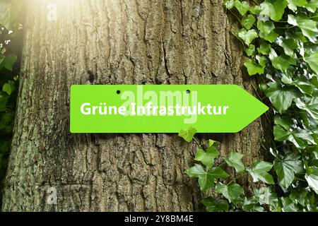 MONTAGGIO FOTOGRAFICO, cartello con la scritta Green Infrastructure on a Tree, FOTOMONTAGE, Wegweiser mit Aufschrift Grüne Infrastruktur an einem Baum Foto Stock