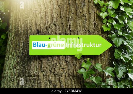 MONTAGGIO FOTOGRAFICO, cartello con l'iscrizione Blue-green Infrastructure on a Tree, FOTOMONTAGE, Wegweiser mit Aufschrift Blau-Grüne Infrastruktur an ei Foto Stock