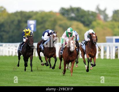 Successivamente, guidati da Oisin Murphy (centro a destra) sulla strada per vincere le BetMGM Noel Murless Stakes durante il BetMGM Autumn Racing Weekend all'Ascot Racecourse, Berkshire. Data foto: Venerdì 4 ottobre 2024. Foto Stock