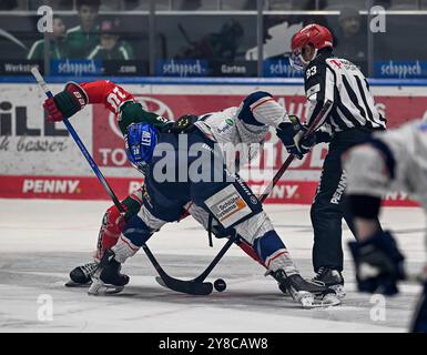 Linesperson David Tschirner fuehrt ein bully aus zwischen Chris Collins (Augsburger Panther, n. 10) und Noel Saffran (Iserlohn Roosters, n. 14). GER, Augsburger Panther gegen Iserlohn Roosters, Eishockey, DEL, 5. Spieltag, Saison 2024/2025, 02.10.2024. Foto: Eibner-Pressefoto/Heiko Feiner Foto Stock