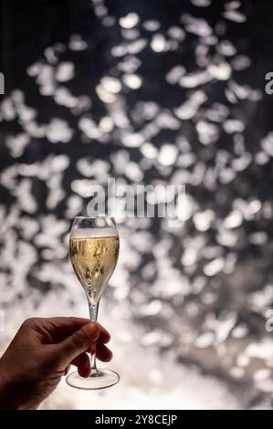 Festeggiamenti, molte piume bianche volano in aria sullo sfondo, night club con pigiama party e bicchiere di champagne spumante, ballo con vino, wedd Foto Stock