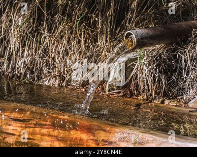 L'acqua limpida di sorgente di montagna fluisce da un tubo in una piscina fatta di legno in un ambiente naturale. Circondata da rocce e erba, questa tranquilla scena Foto Stock