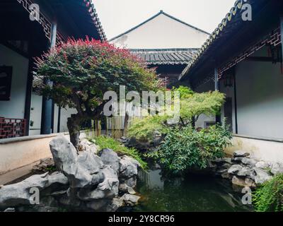 Un tranquillo giardino tradizionale presenta alberi vibranti e un tranquillo laghetto, circondato dalla classica architettura cinese. Foto Stock