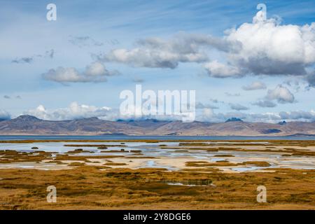 Zone umide intorno al Lago Chinchaycocha. Junin, Perù, Sud America. Foto Stock