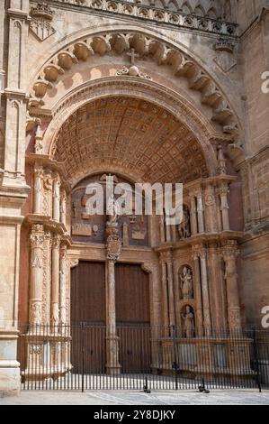 Porta della Cattedrale di Palma la Seu, Maiorca, ripresa verticale con recinzione di fronte, maiorca Foto Stock