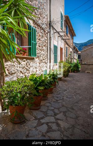 Bellissima strada a Valldemossa, Maiorca con piante in vaso, maiorca, scatto verticale Foto Stock